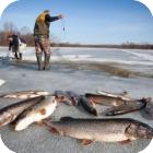 Рыбалка в Чувашии